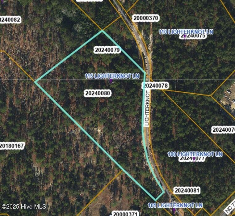 115 Lighterknot Lane Property Photo 1