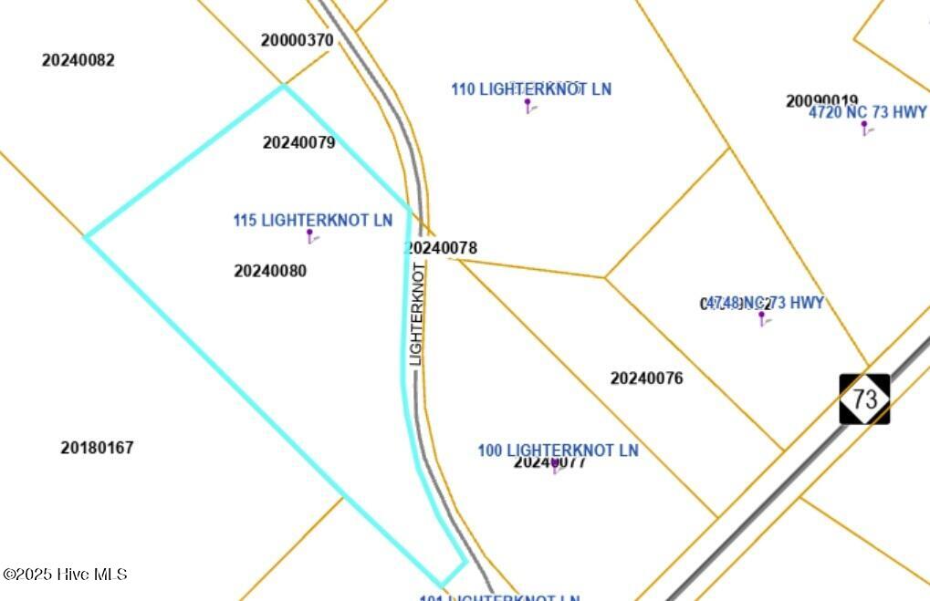 115 Lighterknot Lane Property Photo 2