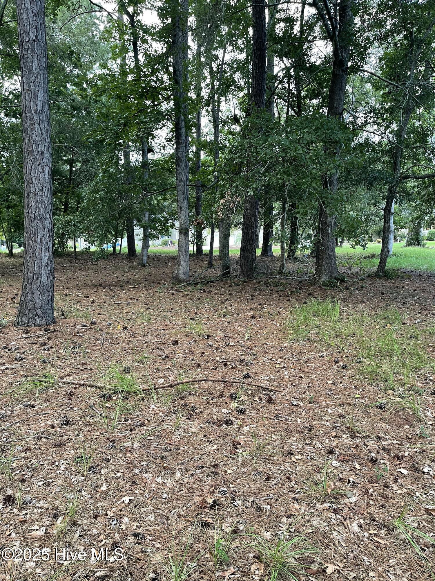 41 Oyster Pointe Drive Property Photo