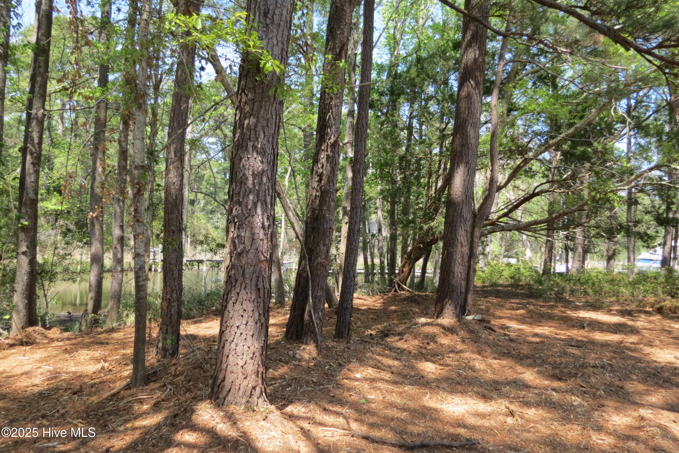 6009 Harbour Way Property Photo 36