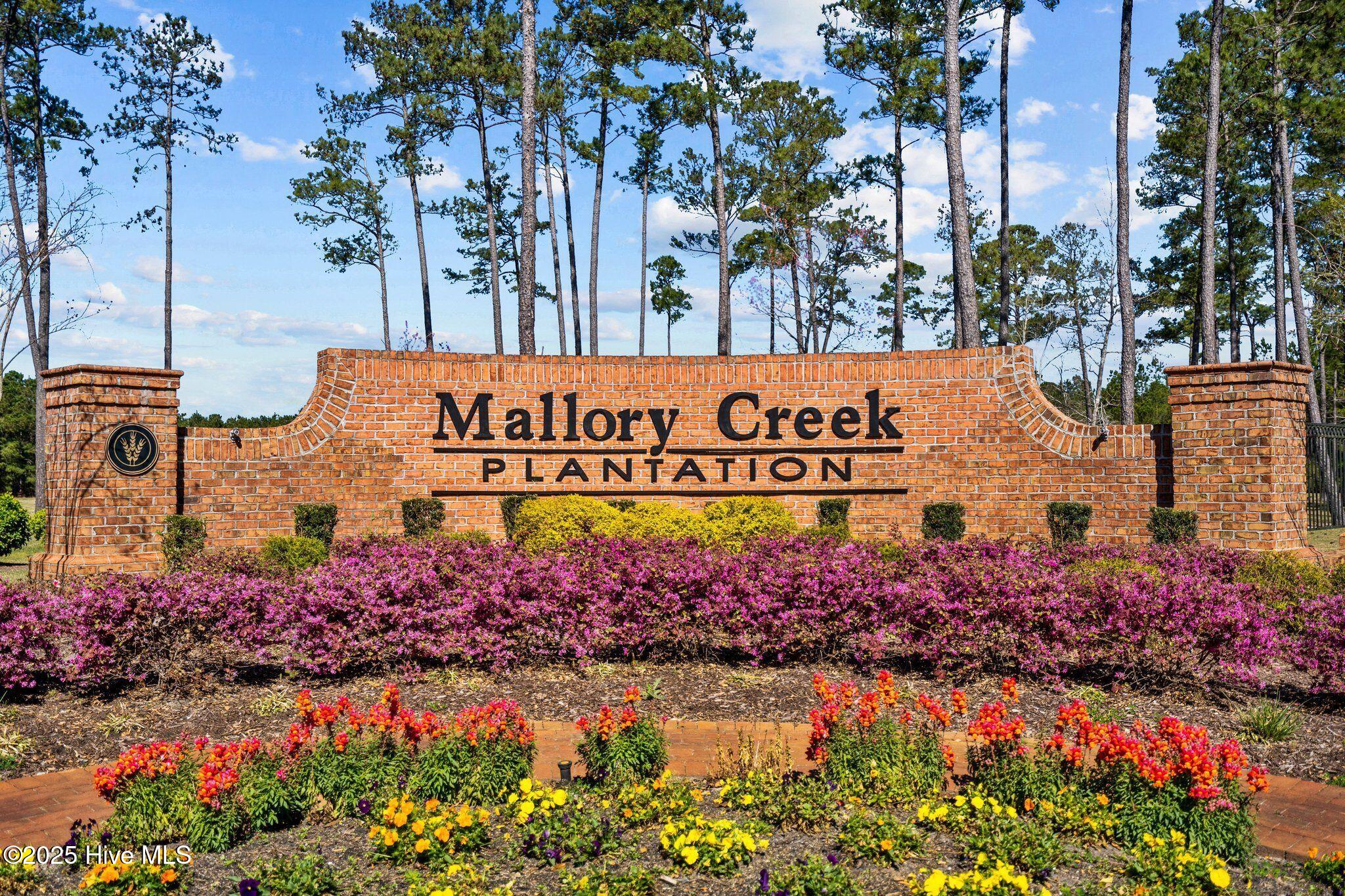 2238 Jasper Forest Trail Property Photo 6