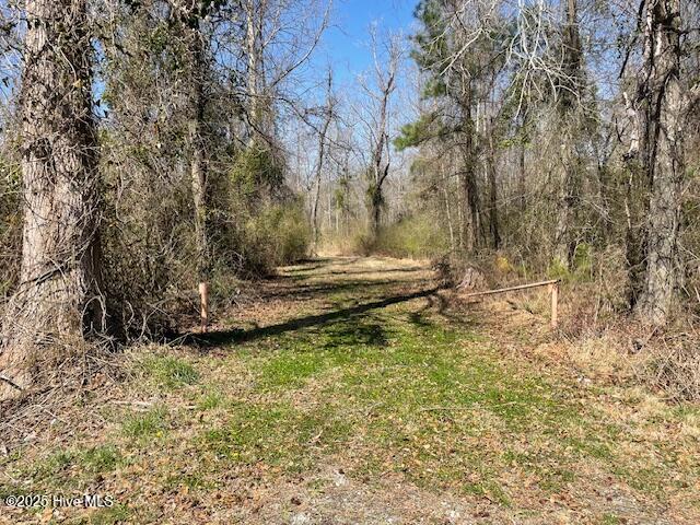0 Cypress Creek Road Property Photo