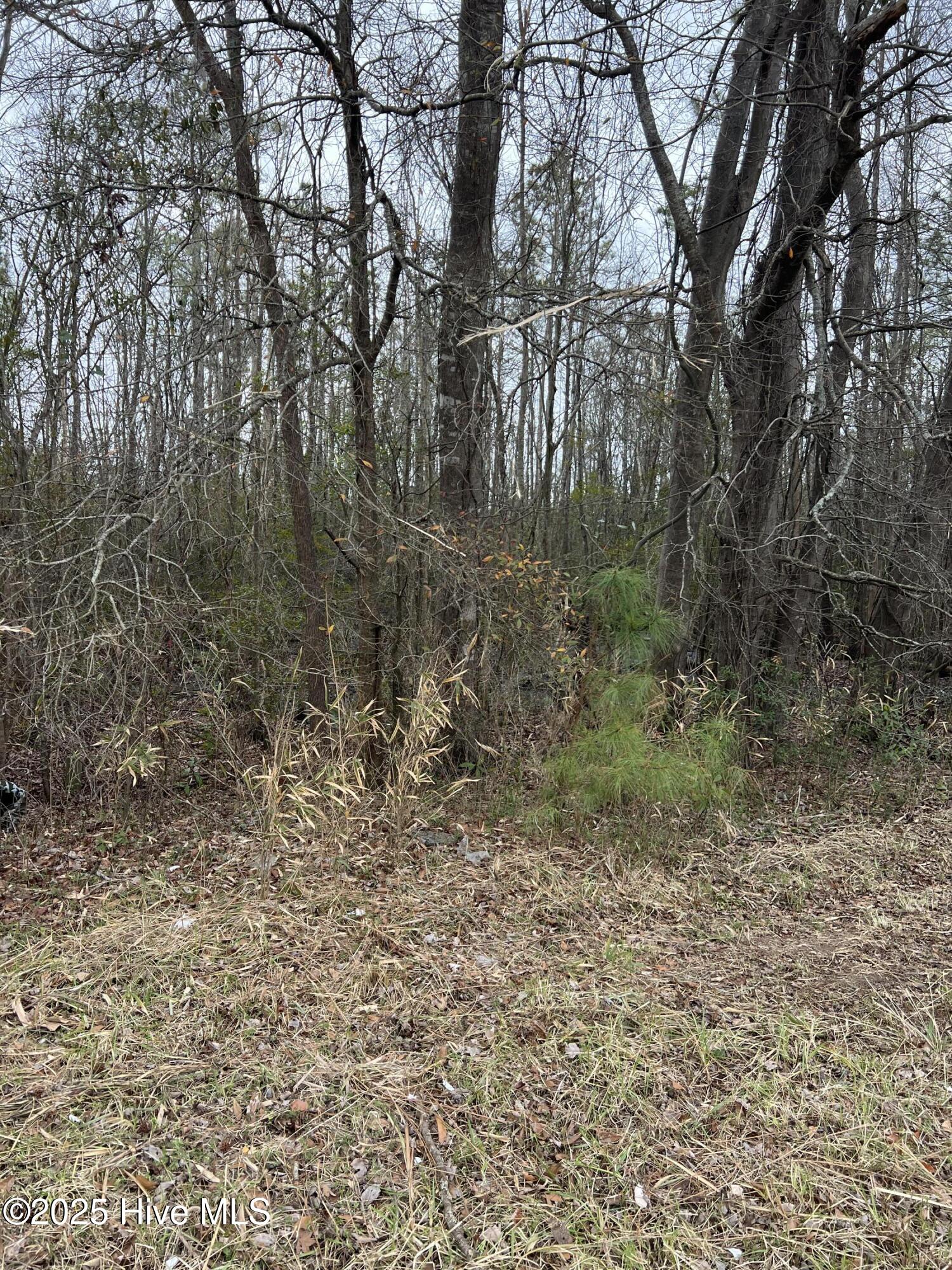 0 Us 17 Property Photo 4