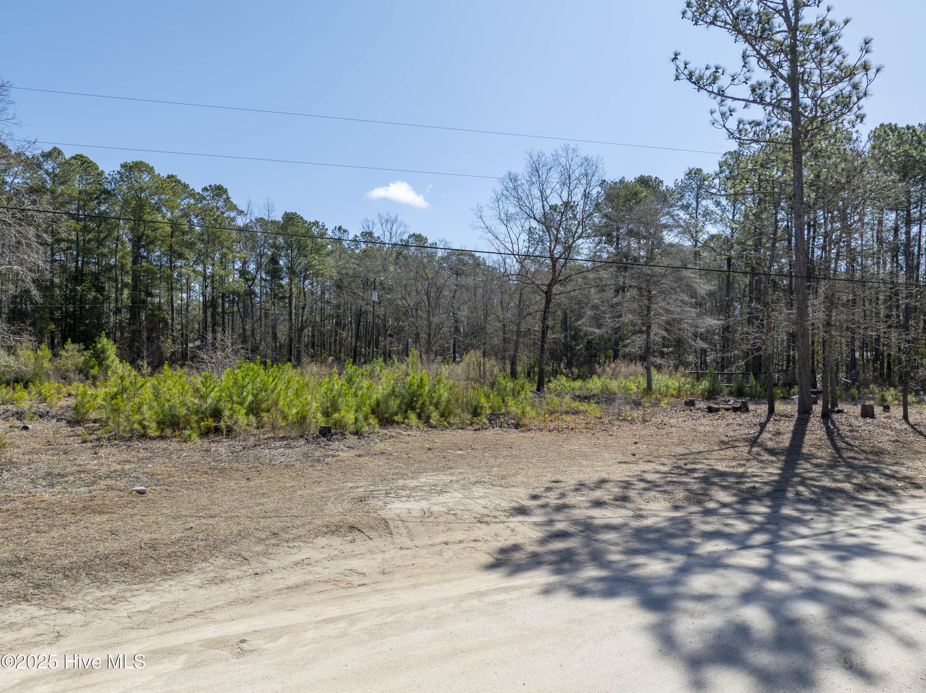 19 White Oak Drive Property Photo 10