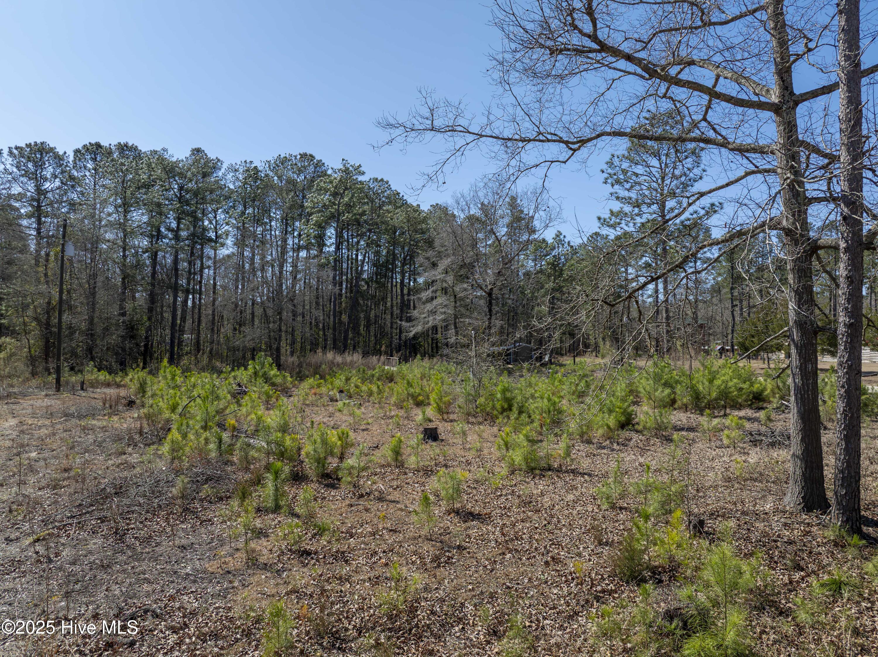 19 White Oak Drive Property Photo 12