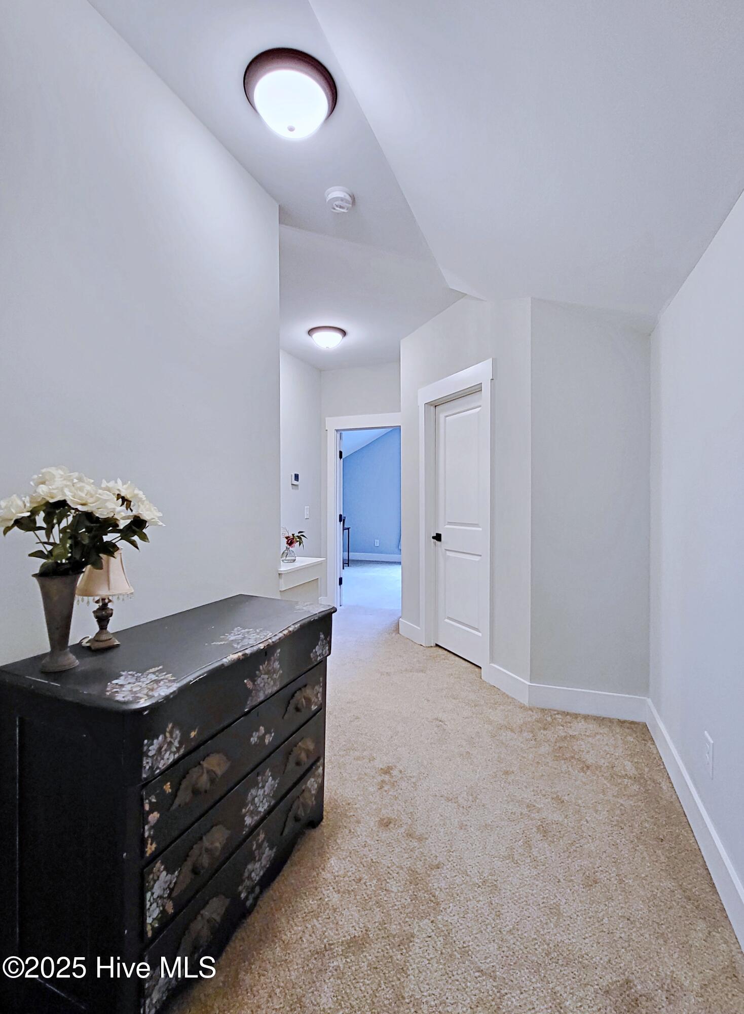 8 Aronimink Lane Property Photo 38