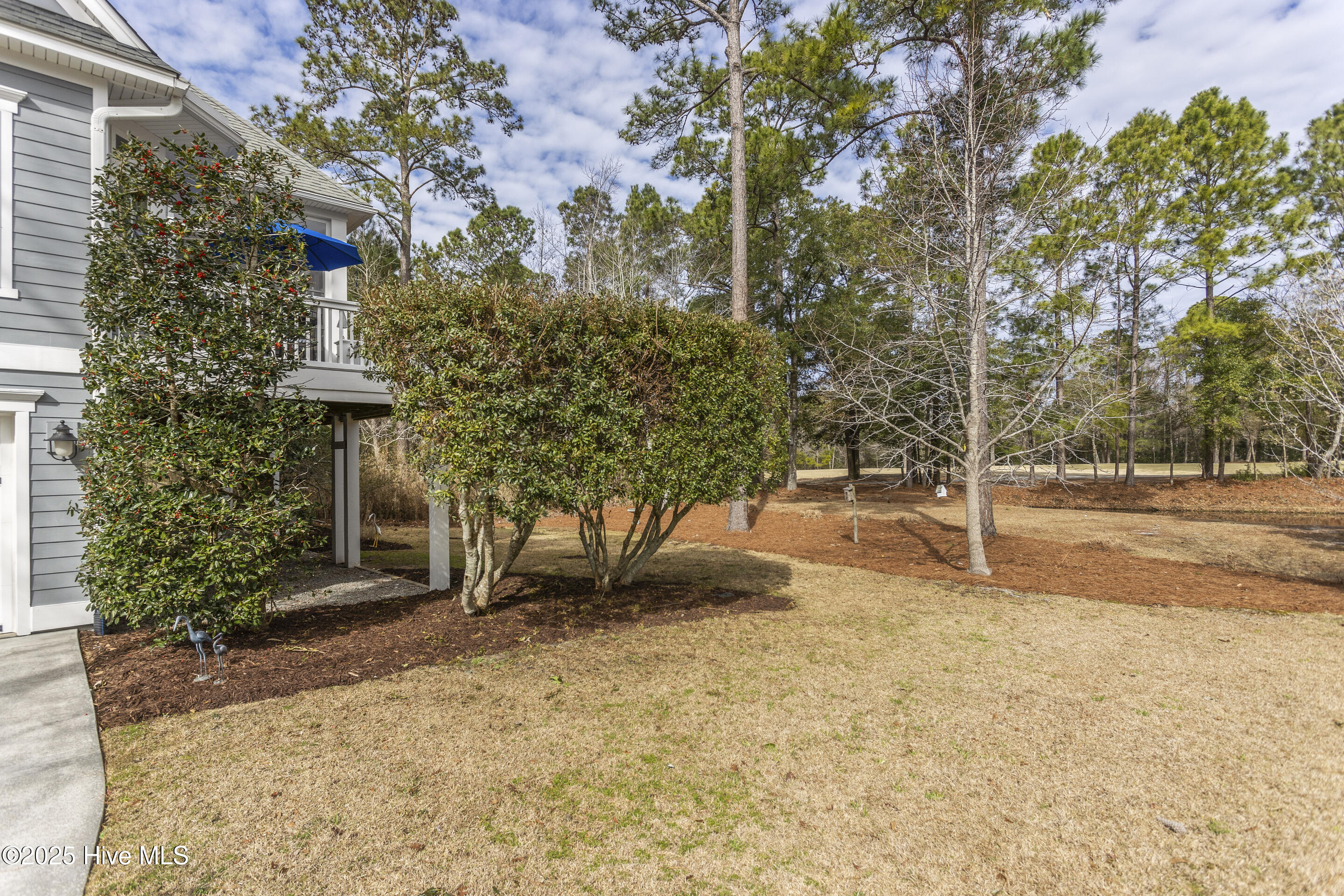 1772 Candle Ridge Lane Property Photo 101