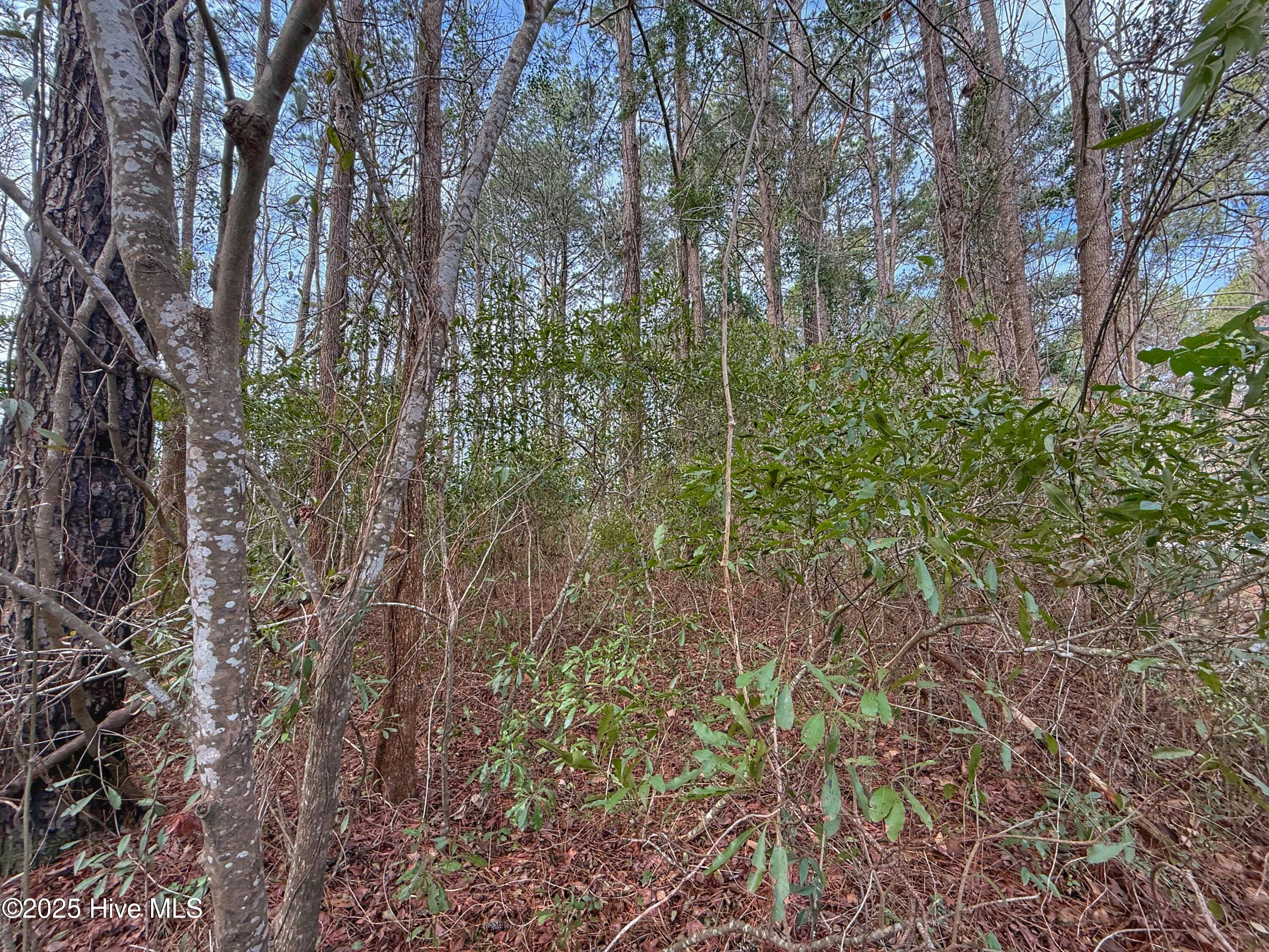 803 Sailhaven Drive Property Photo 33