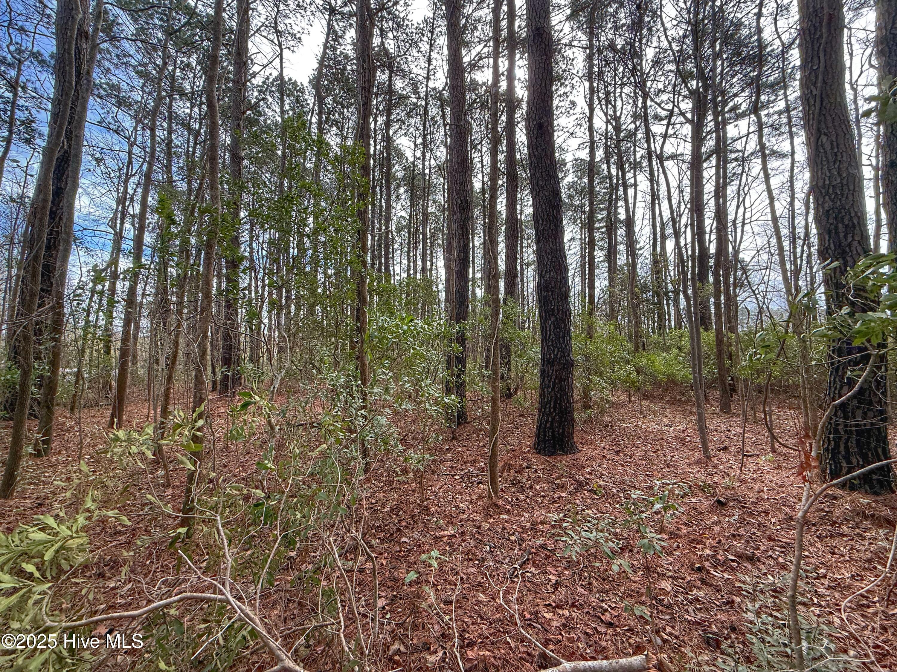 803 Sailhaven Drive Property Photo 35