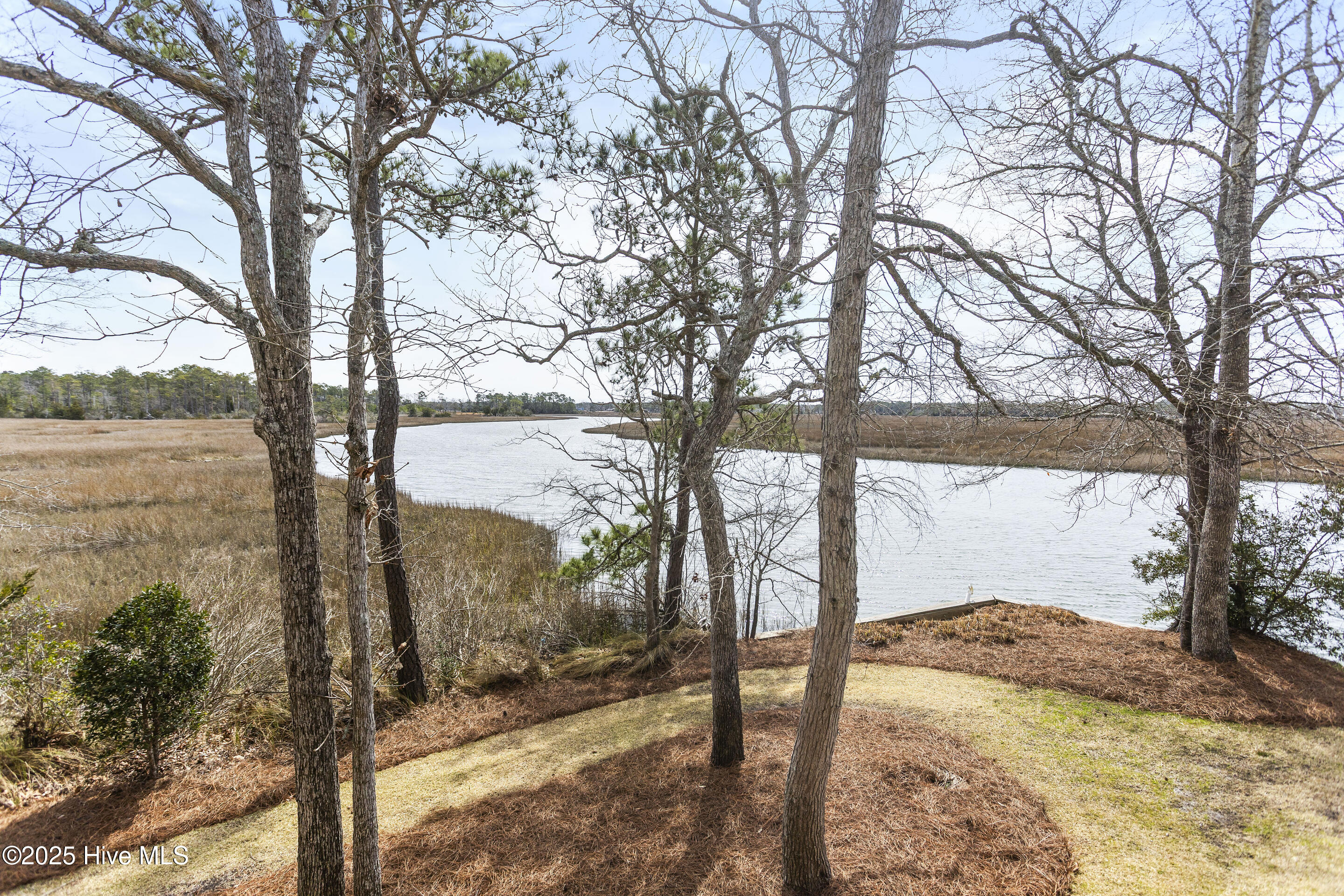 466 Herring Gull Court Property Photo 73