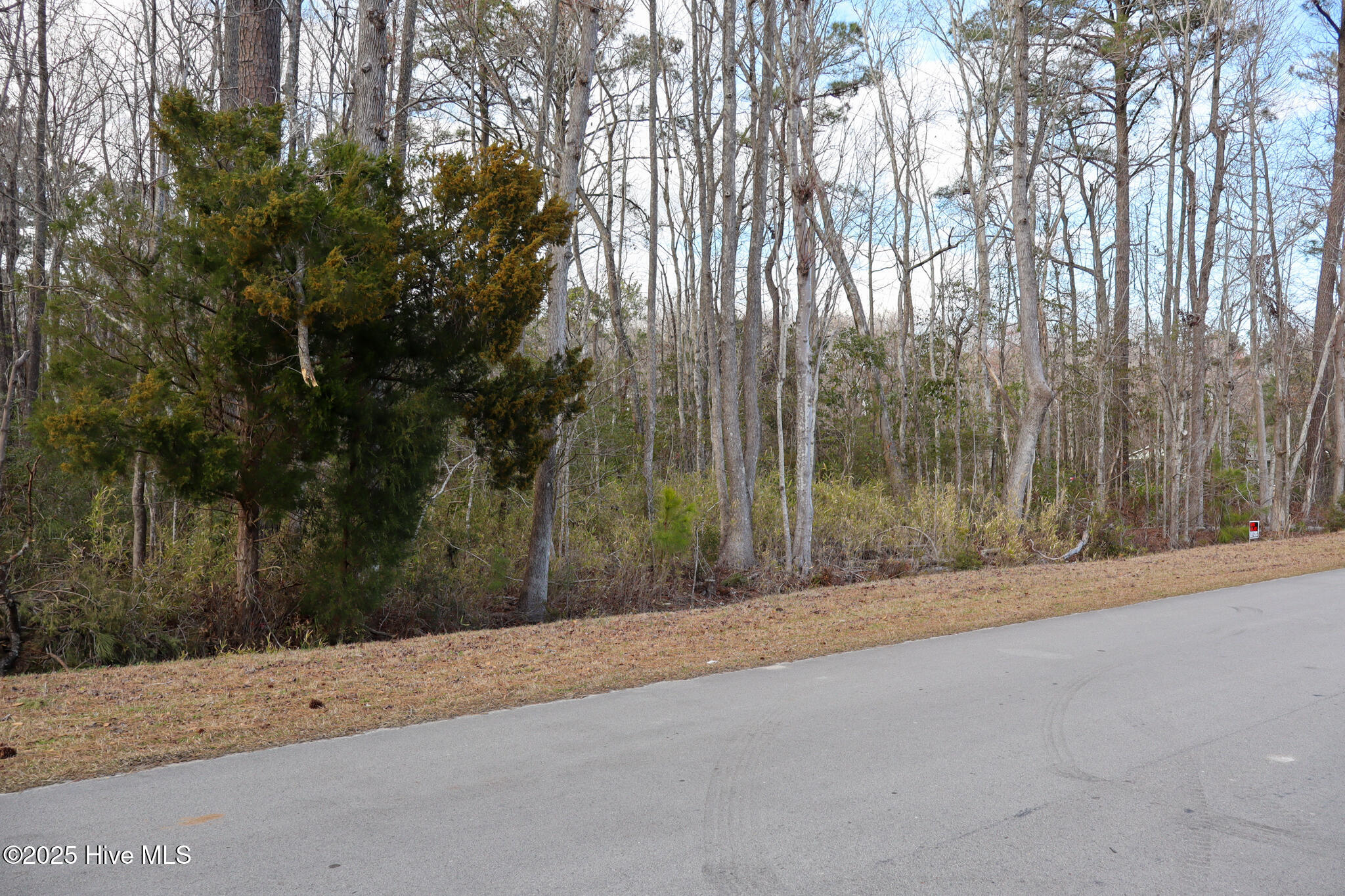 165 Dragstrip Road Property Photo 8