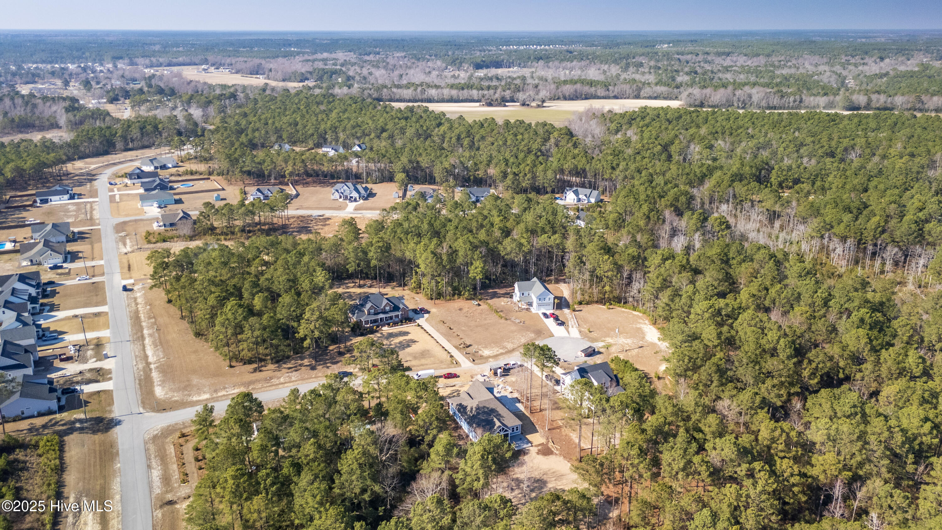405 Palustris Court Property Photo 12