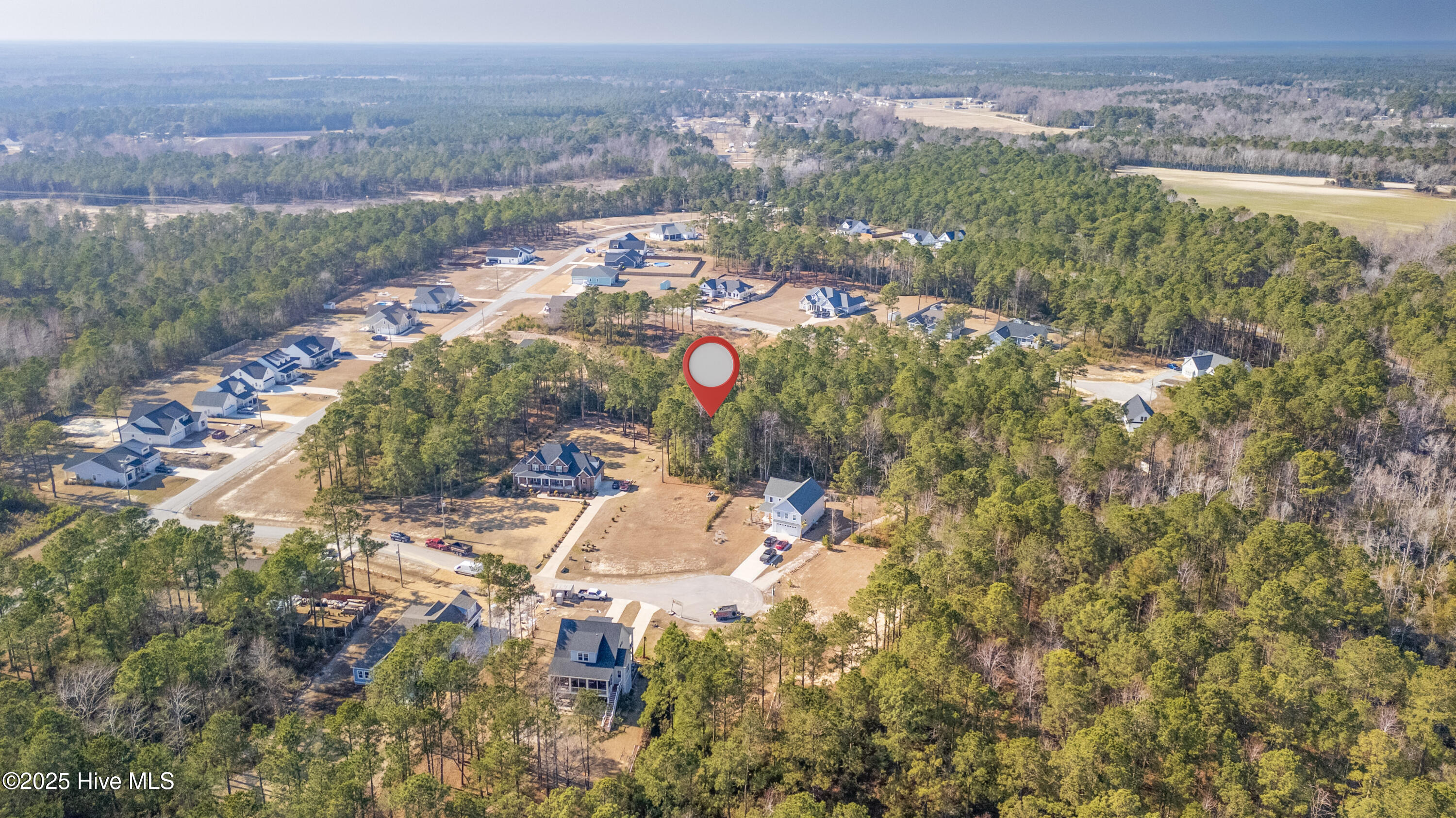 405 Palustris Court Property Photo 13