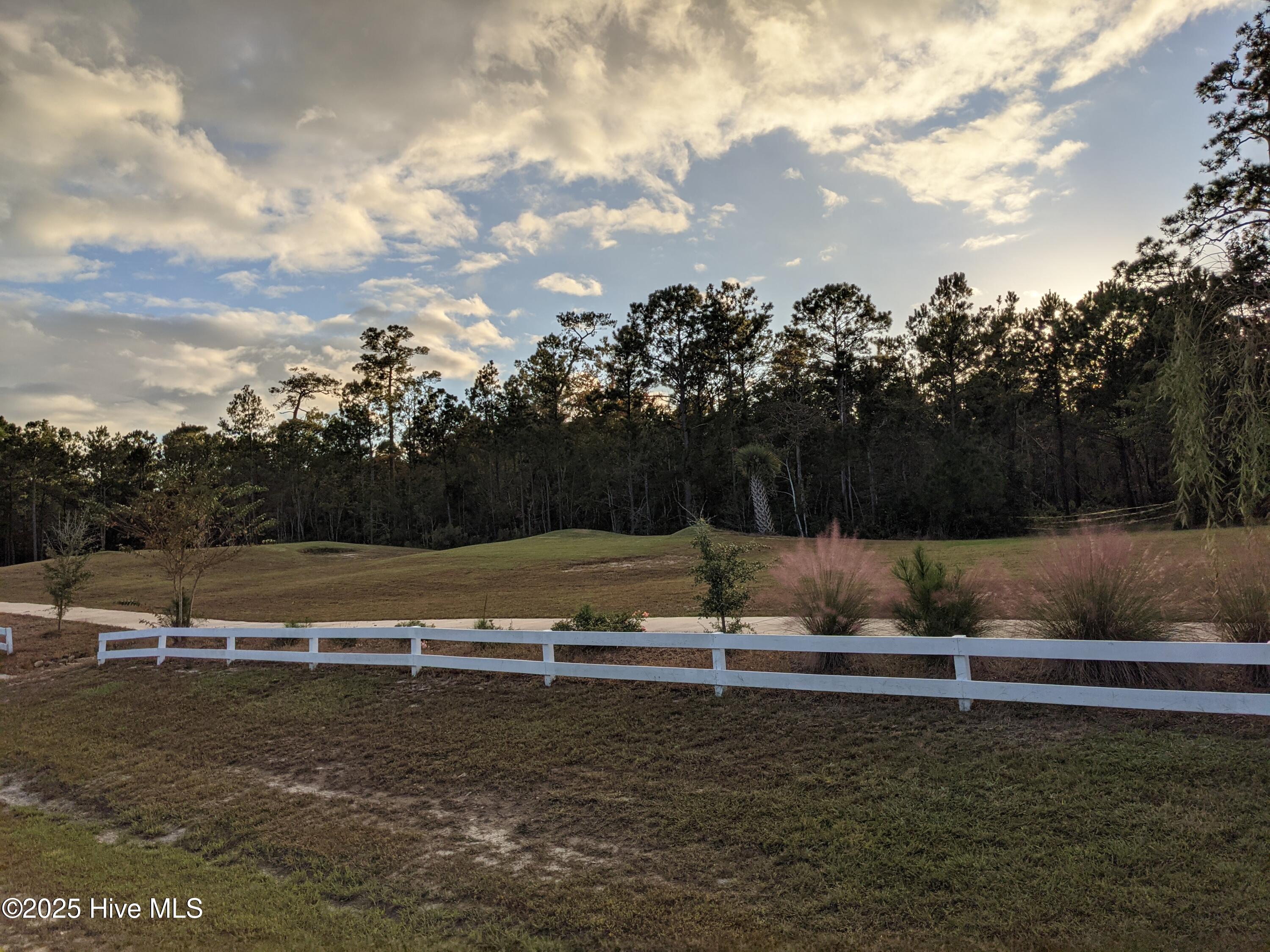 405 Palustris Court Property Photo 18