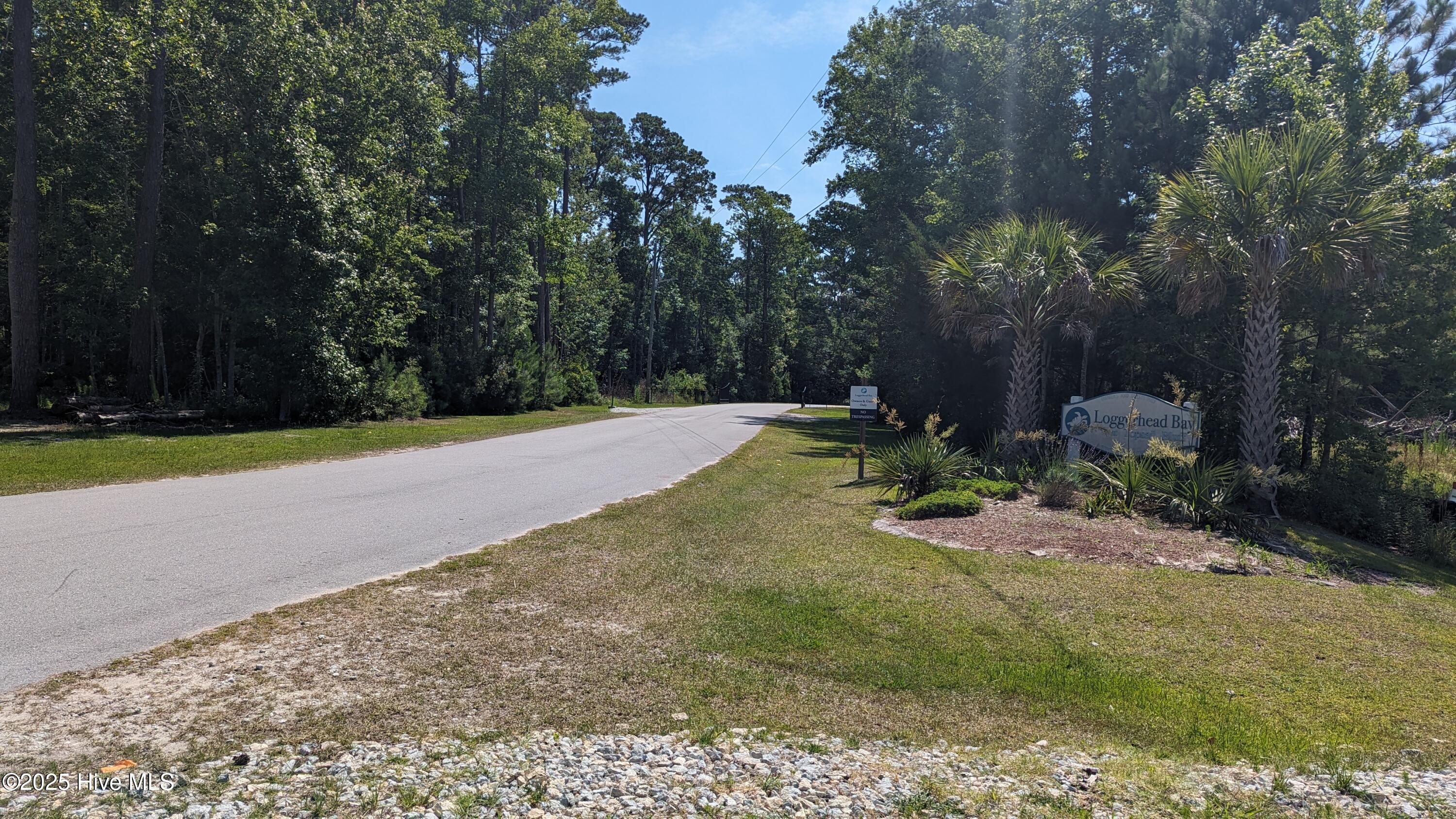 405 Palustris Court Property Photo 19