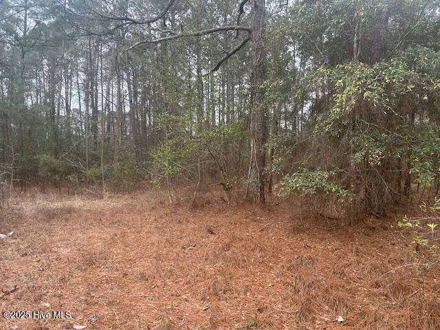 Tbd N N. Belgrade Avenue Property Photo 2