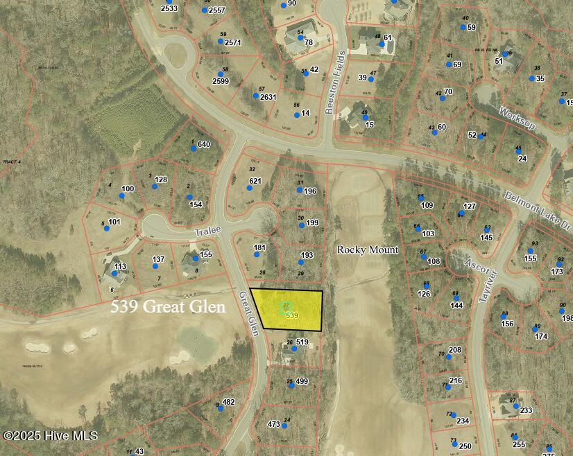 539 Great Glen Property Photo 1