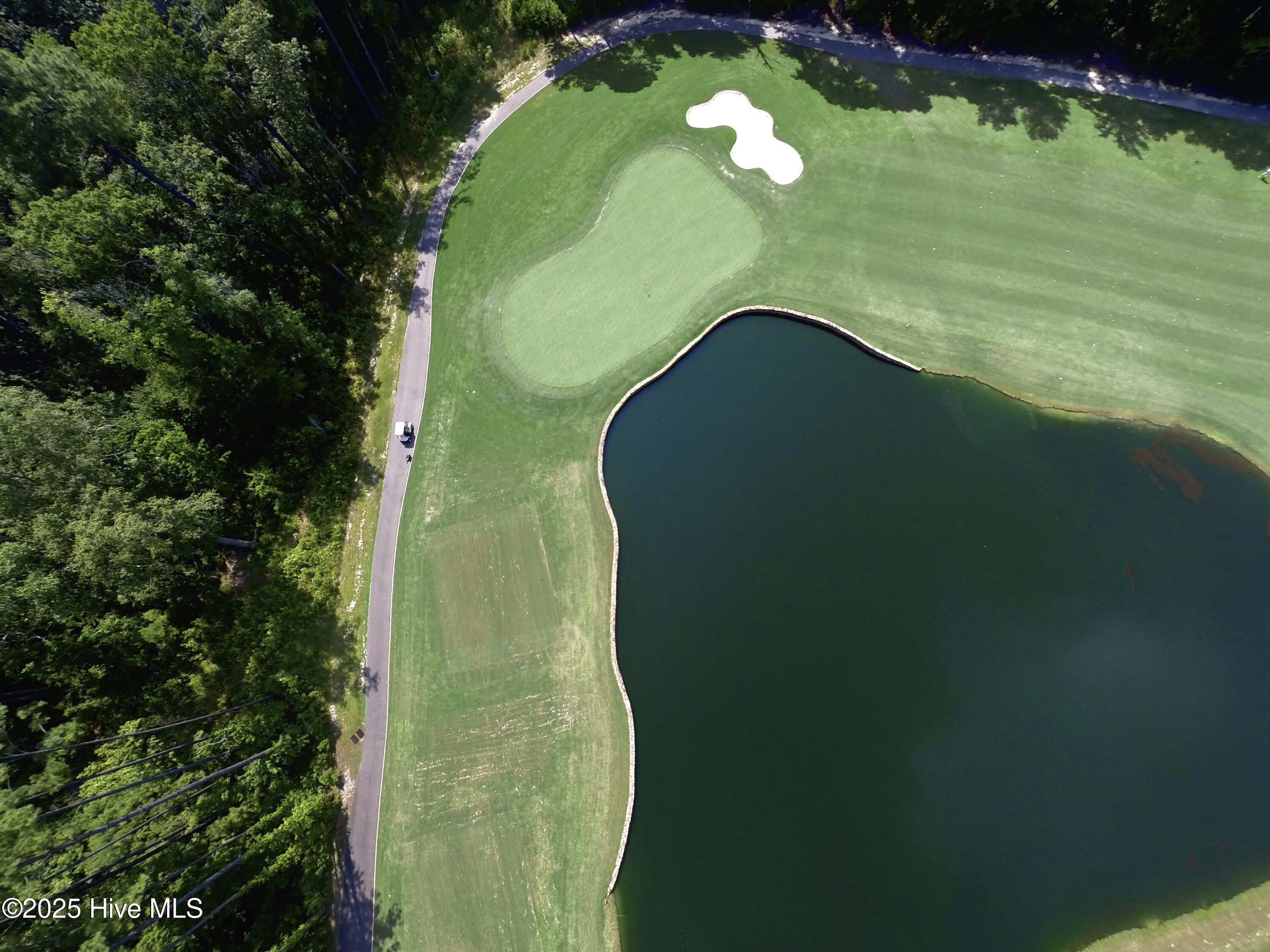 193 Tralee Property Photo 4