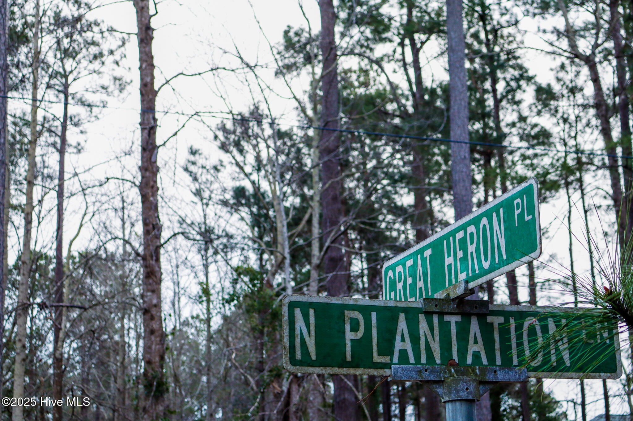 Lot 3 Plantation Drive Property Photo 17