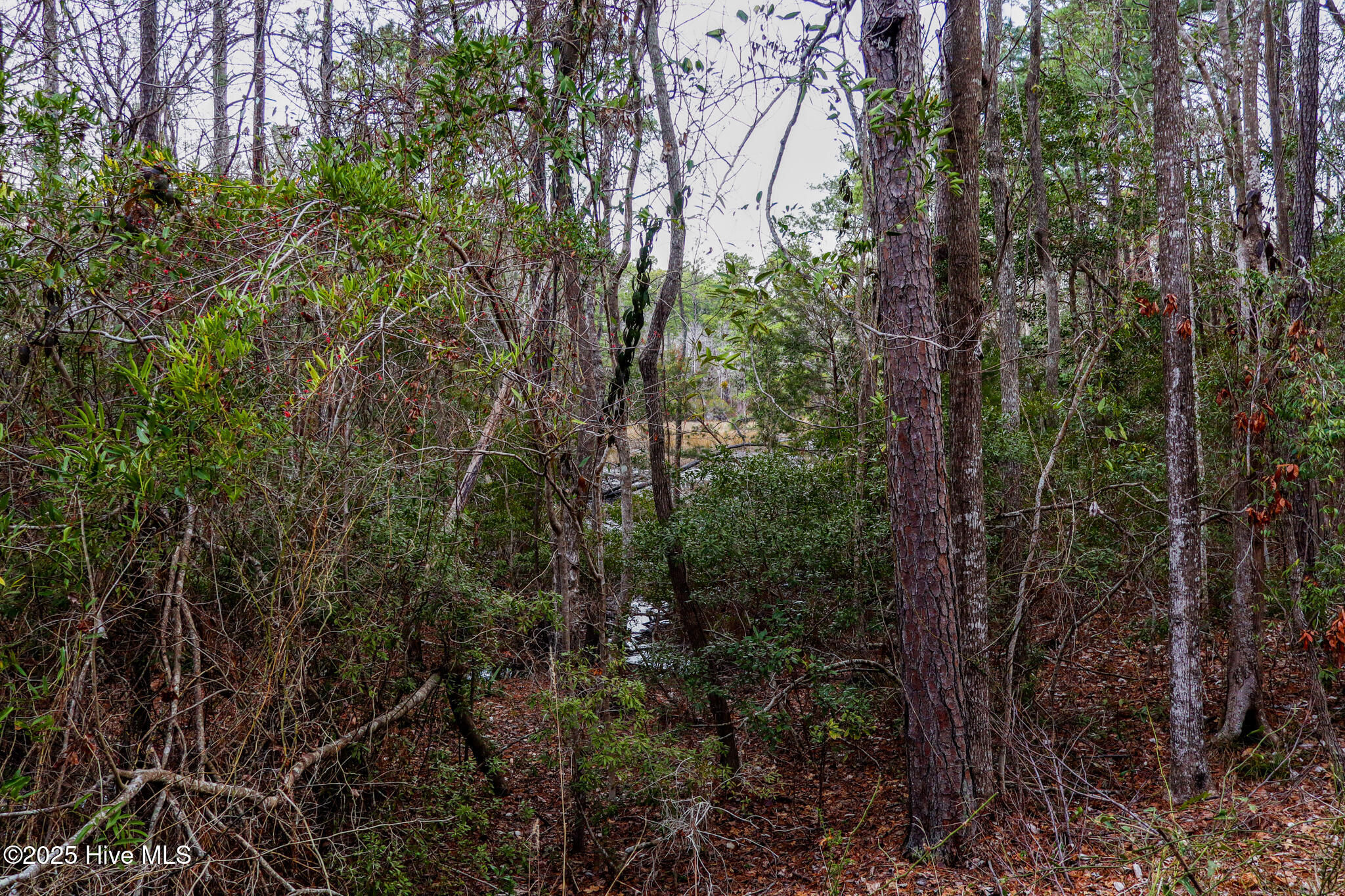 Lot 3 Plantation Drive Property Photo 20