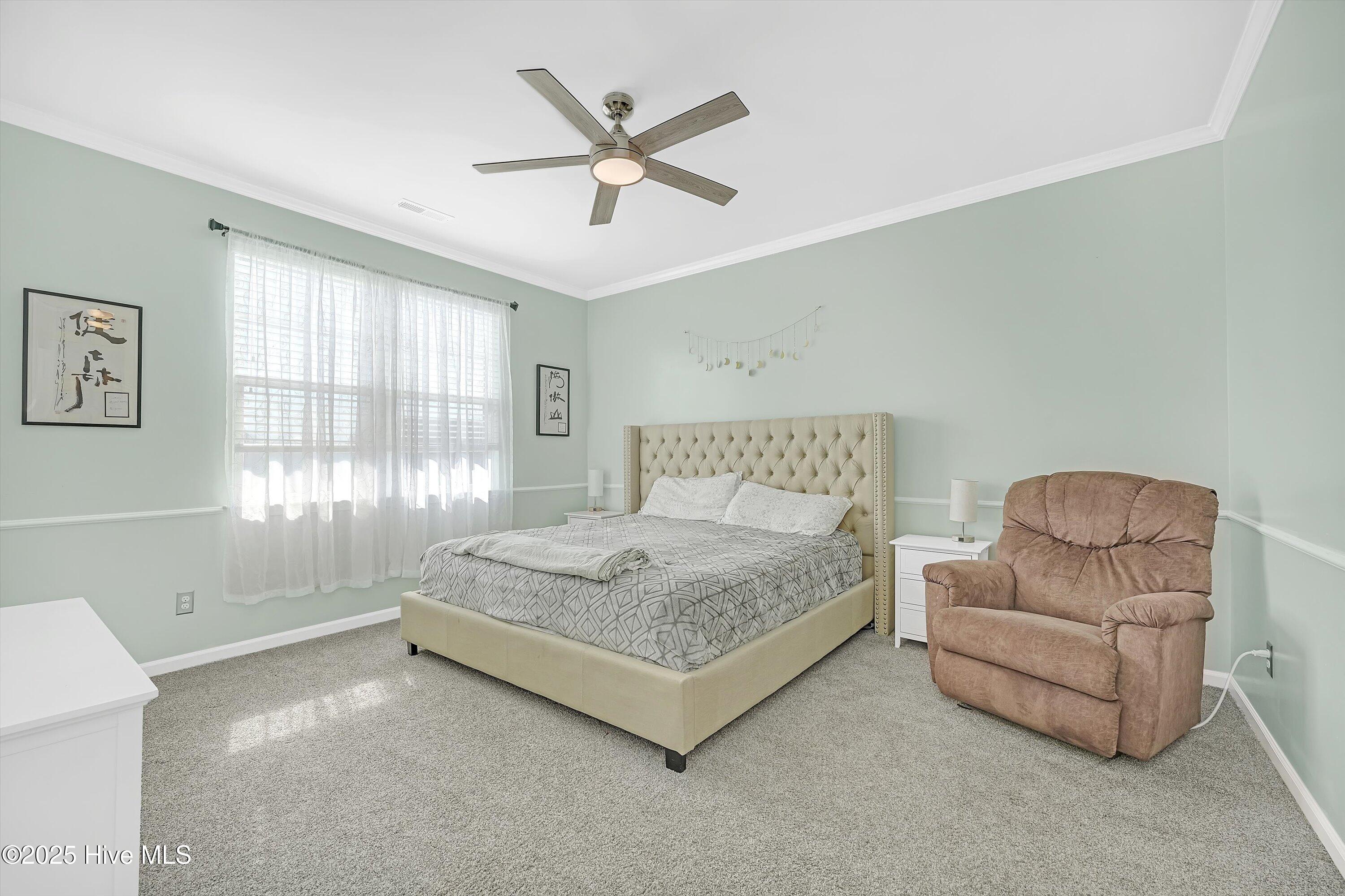 45 Rochester Street Property Photo 24