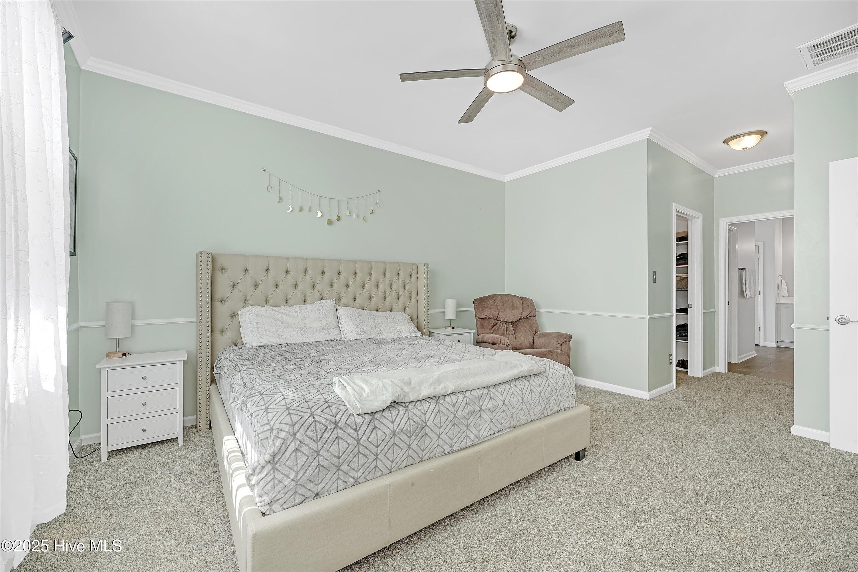 45 Rochester Street Property Photo 25
