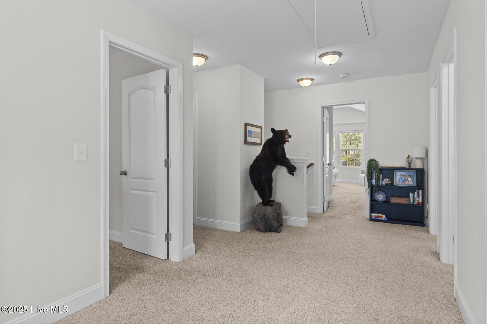 307 Neuse Drive Property Photo 17