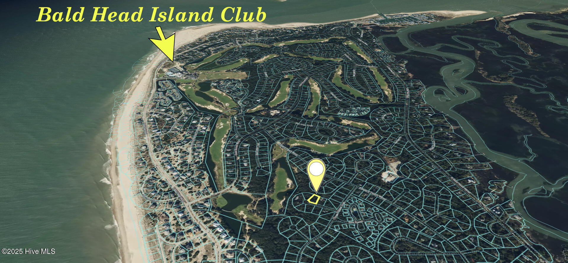 5 Leopard Frog Court Property Photo 2