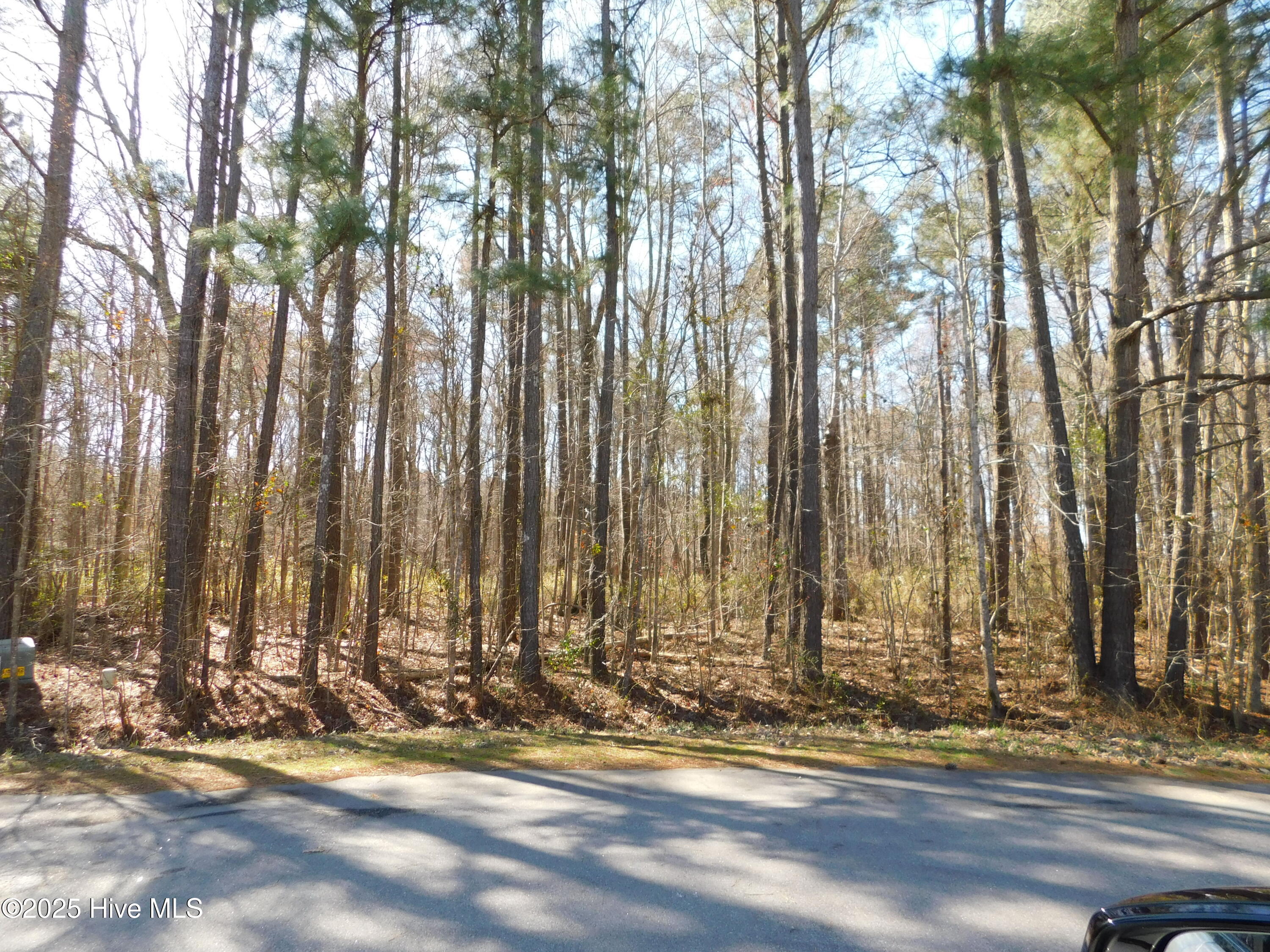 1506 Owens Drive Property Photo
