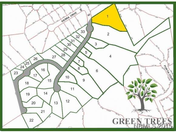 211 Green Trees Drive Property Photo