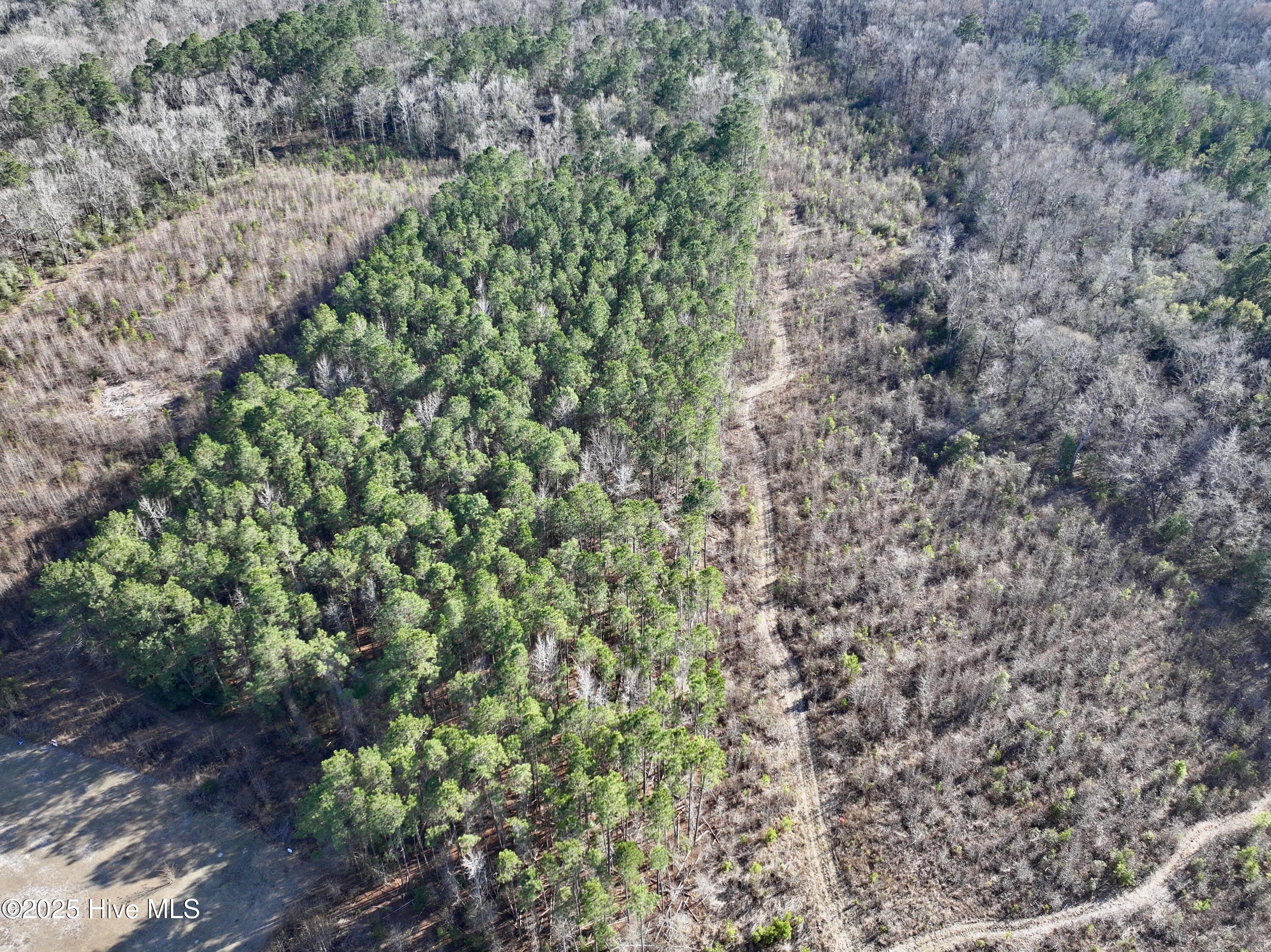 Lot 5 Palmers Branch Drive Property Photo 3