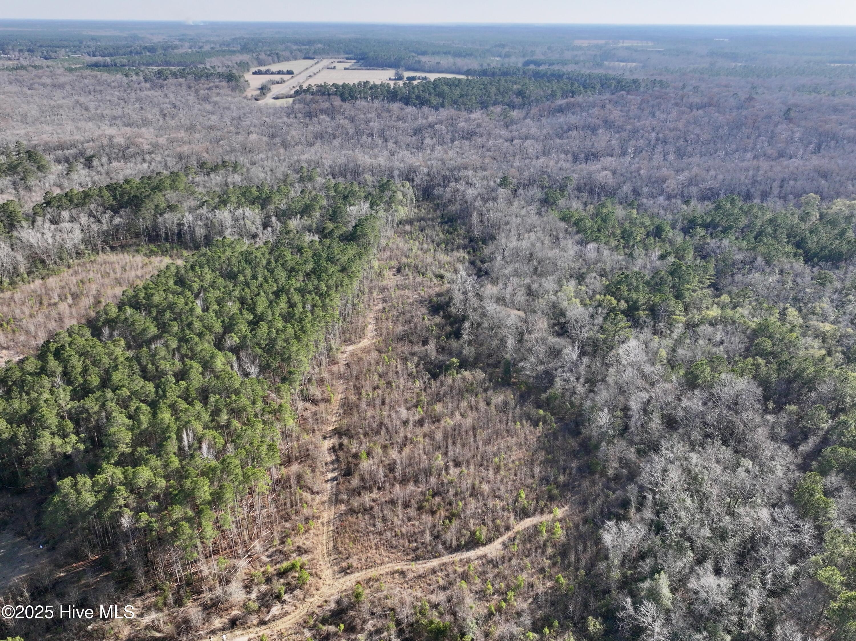 Lot 5 Palmers Branch Drive Property Photo 4