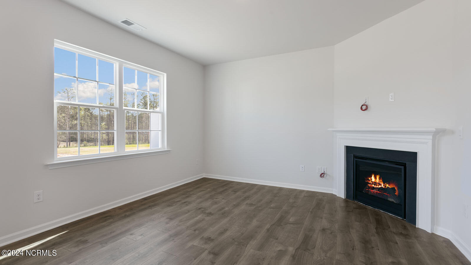 117 Pisgah Street Property Photo 7