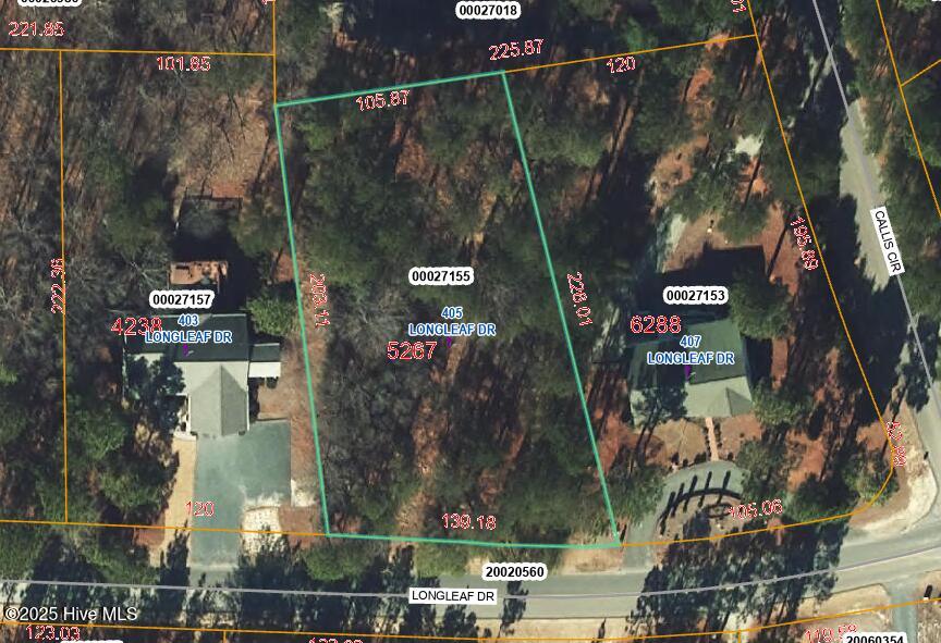 405 Longleaf Drive Property Photo