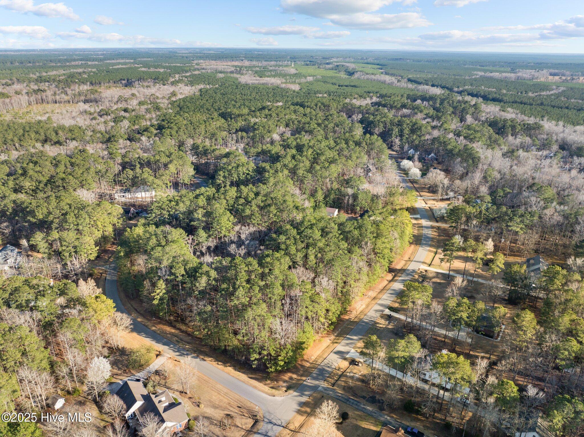 118 Wildflower Way Property Photo 8
