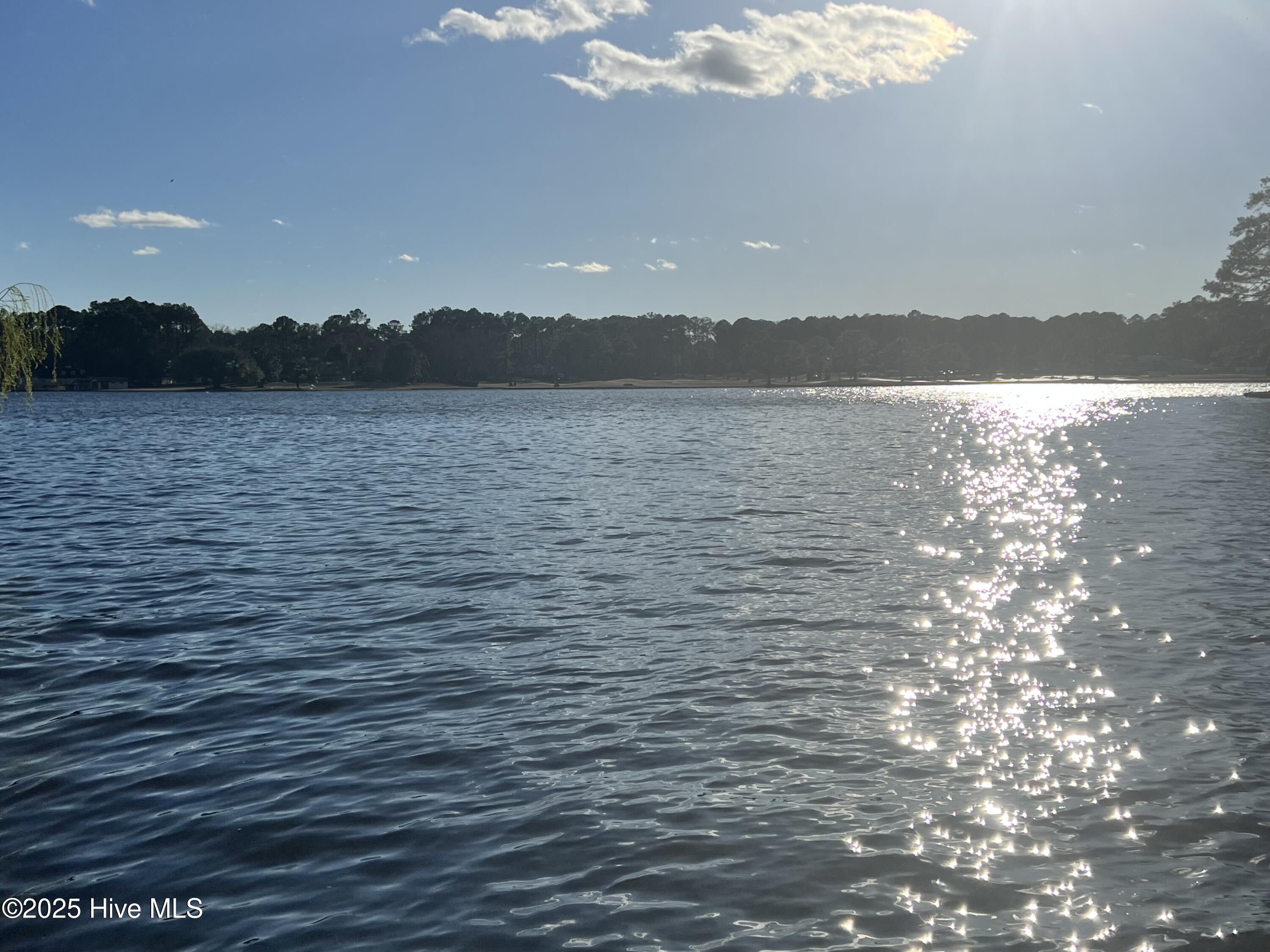 421 Dogwood Trail Property Photo 15