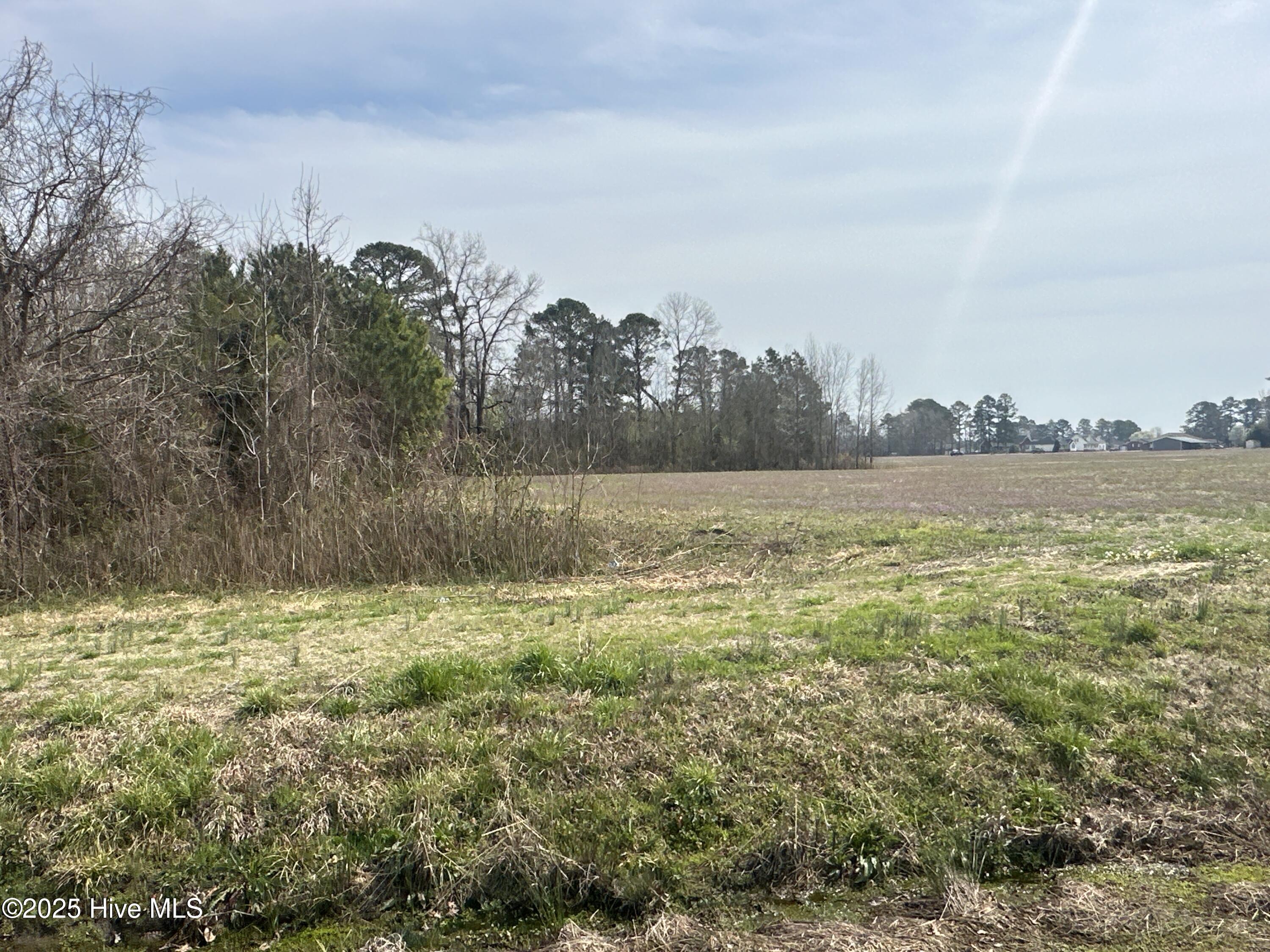 260 Bragaw Lane Property Photo 12