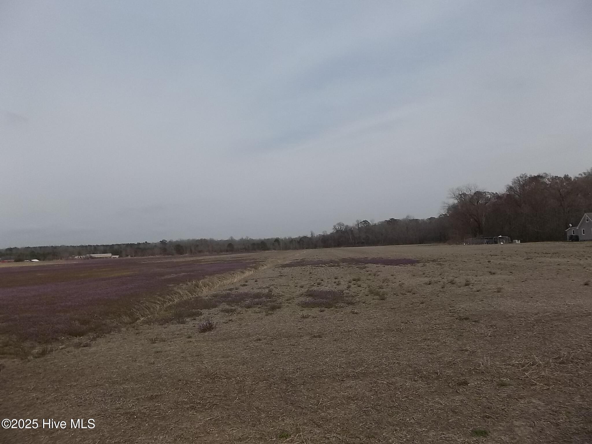 261 Old Swamp Road Property Photo