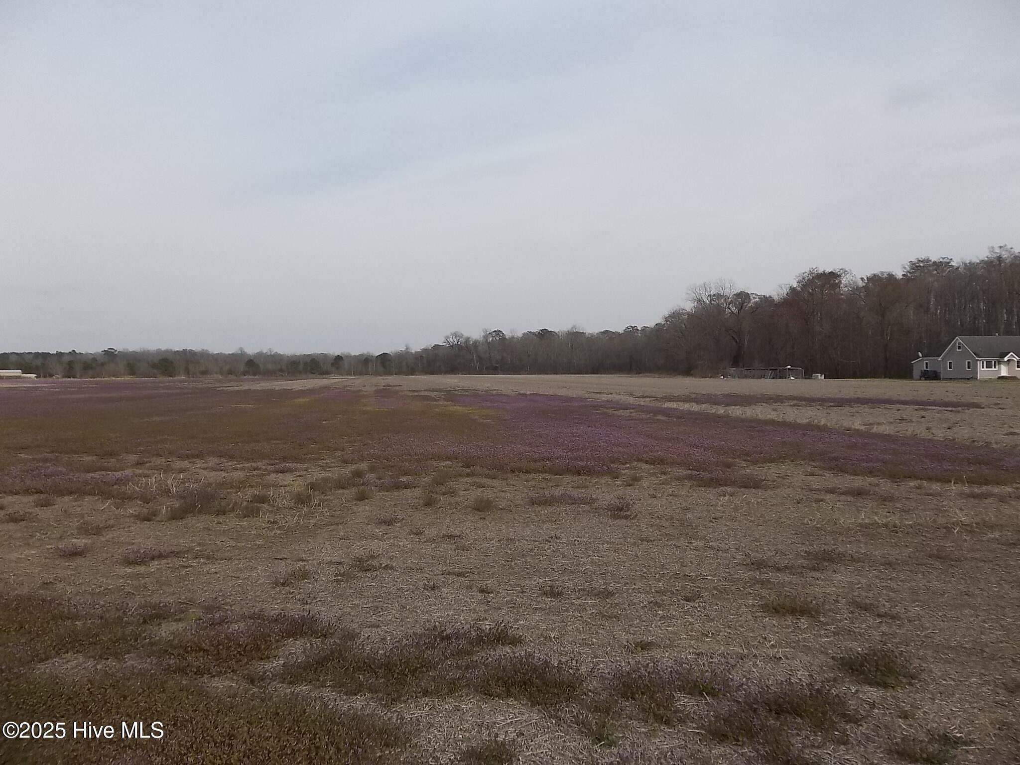 265 Old Swamp Road Property Photo