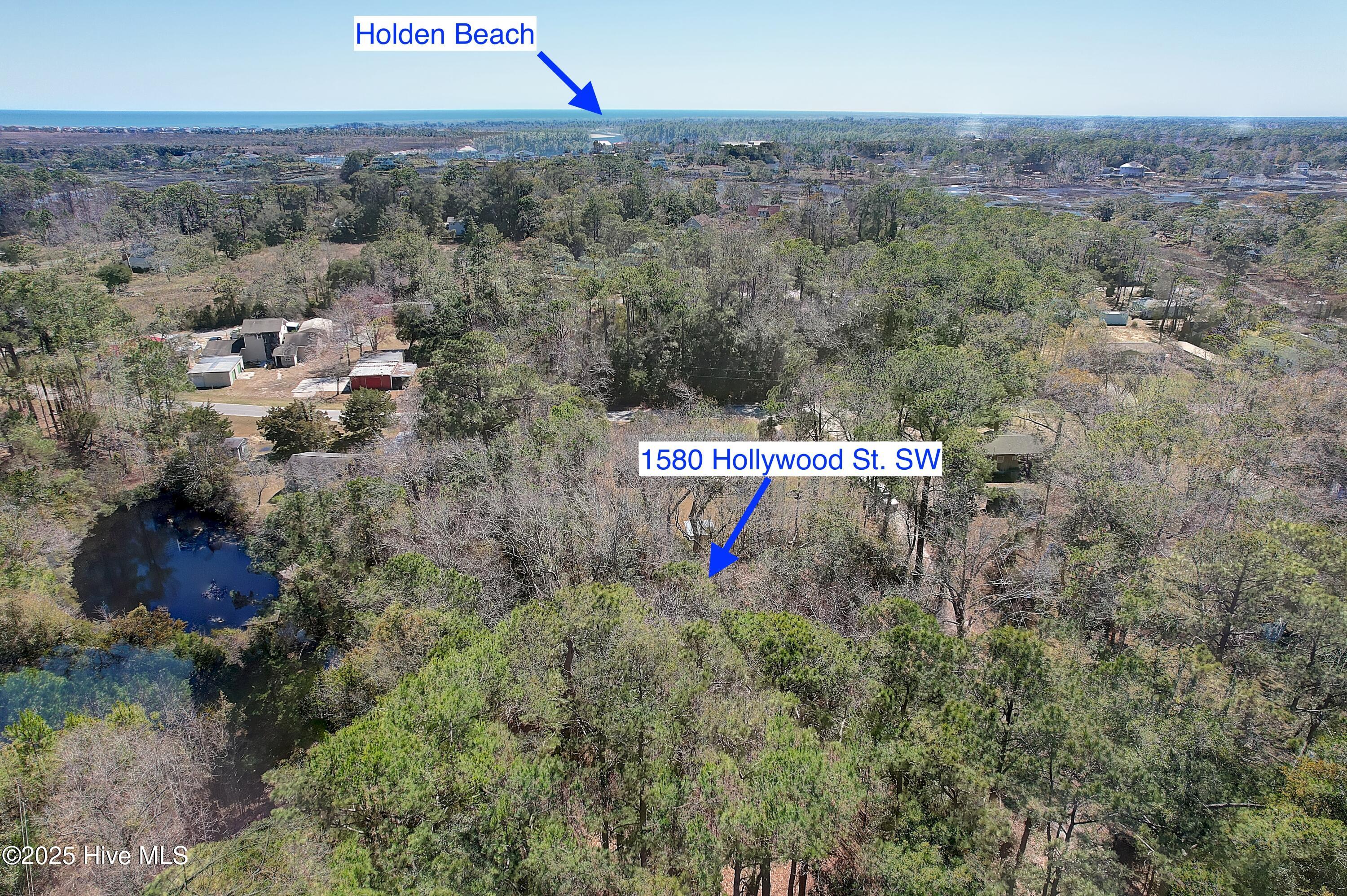 1580 Hollywood Street Property Photo 6
