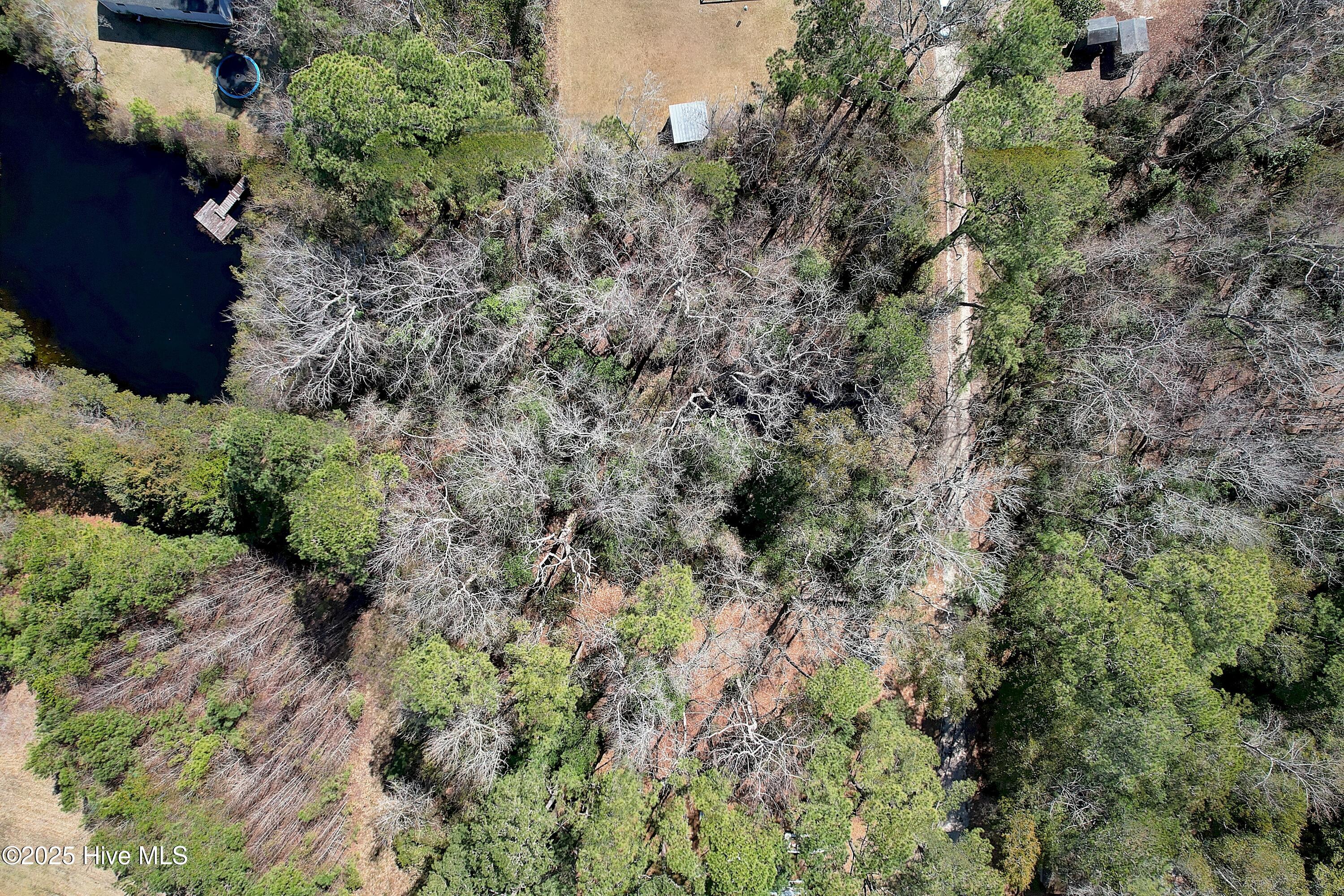 1580 Hollywood Street Property Photo 10