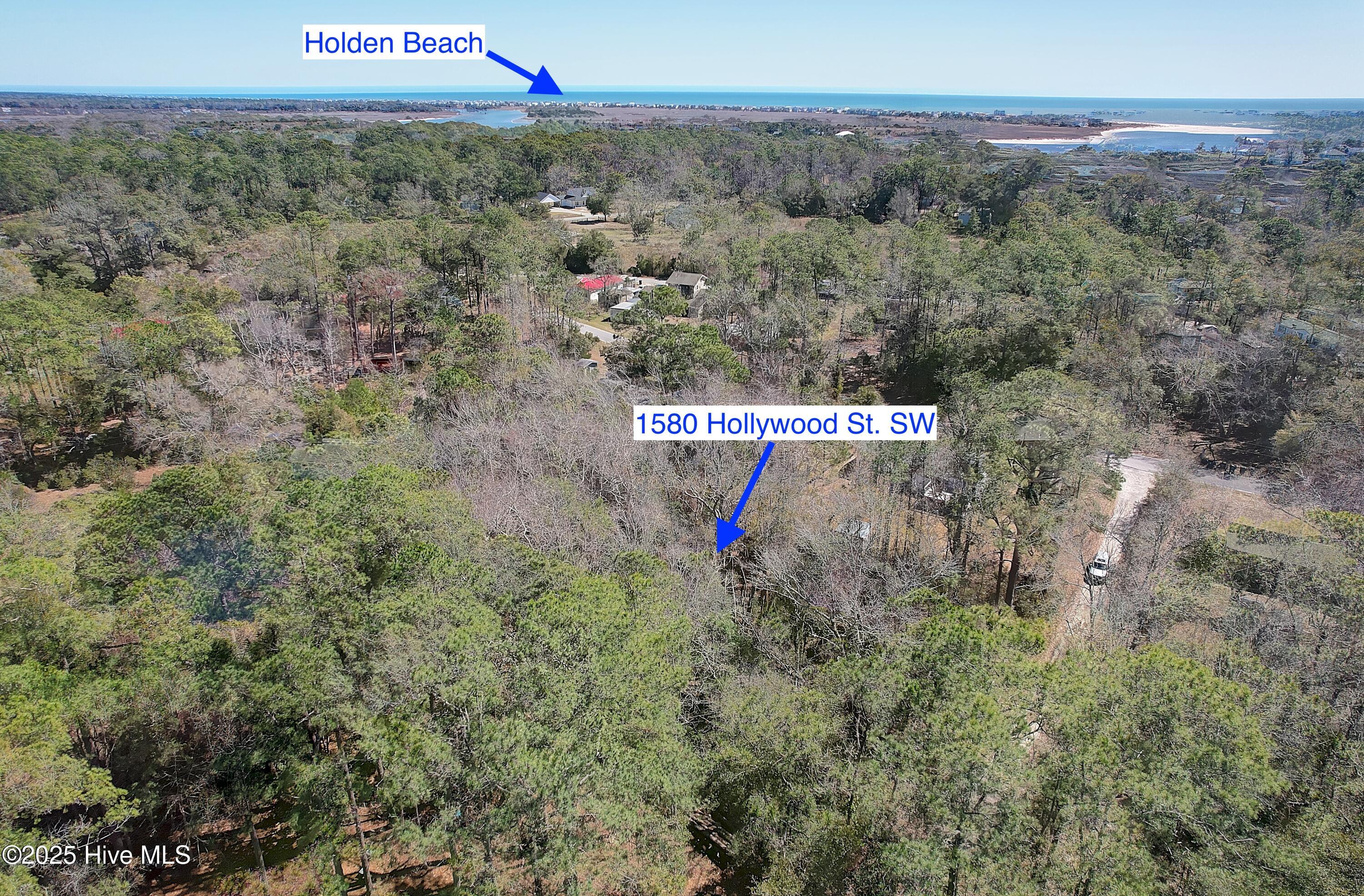 1580 Hollywood Street Property Photo 14