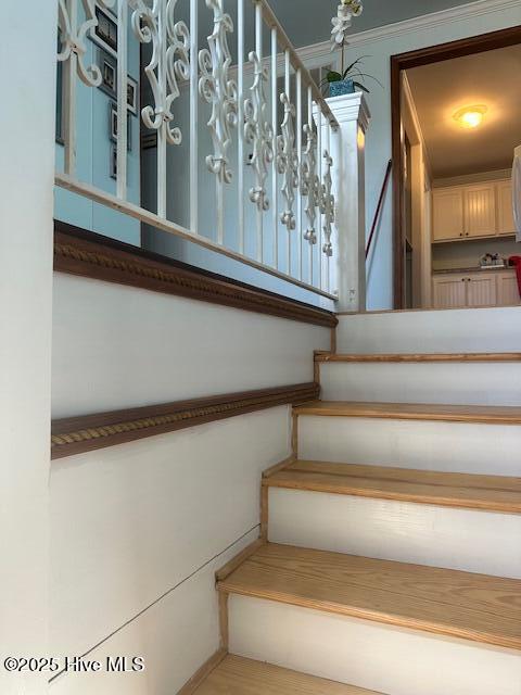 209 Shore Road Property Photo 16