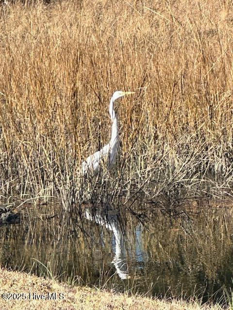 209 Shore Road Property Photo 35
