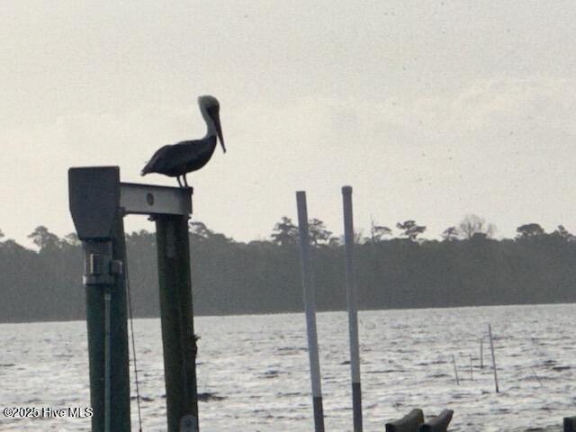 209 Shore Road Property Photo 44