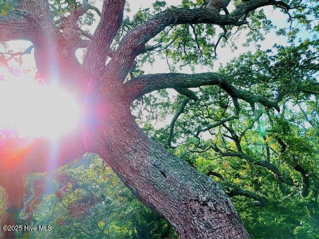 209 Shore Road Property Photo 59