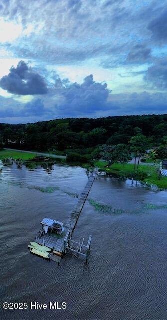 209 Shore Road Property Photo 61