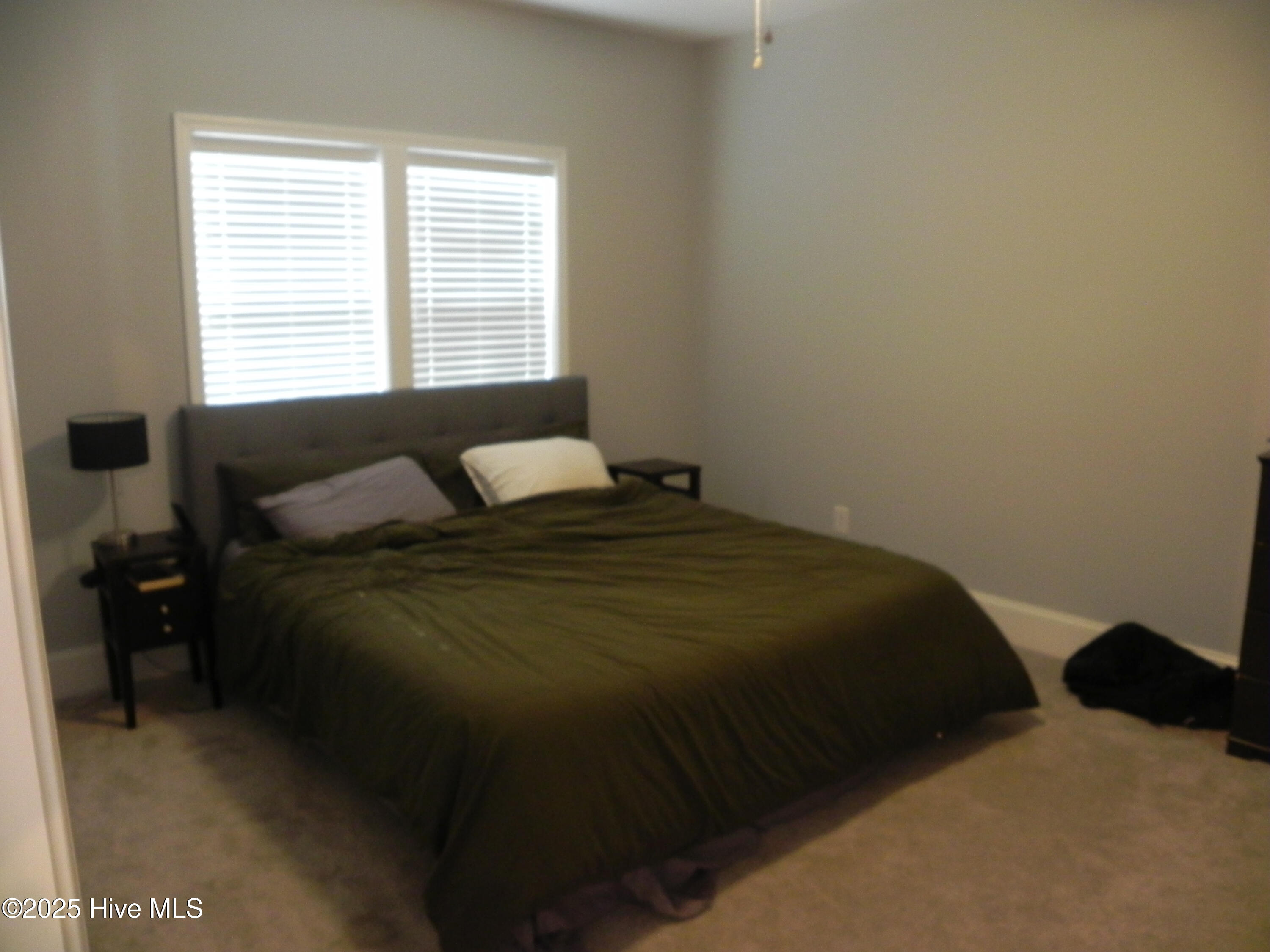 810 Lighthorse Circle Property Photo 20