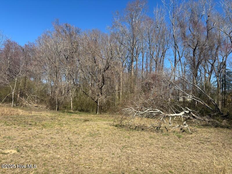 Lots 2 & 3 W Castalia West Road Property Photo 3