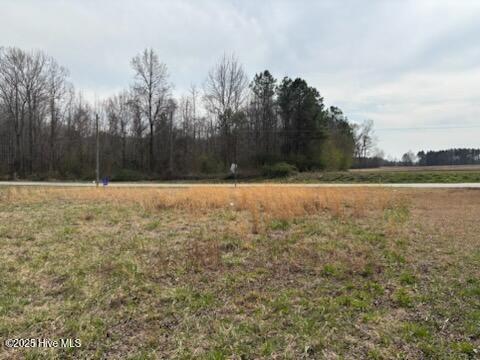 Lots 2 & 3 W Castalia West Road Property Photo 4